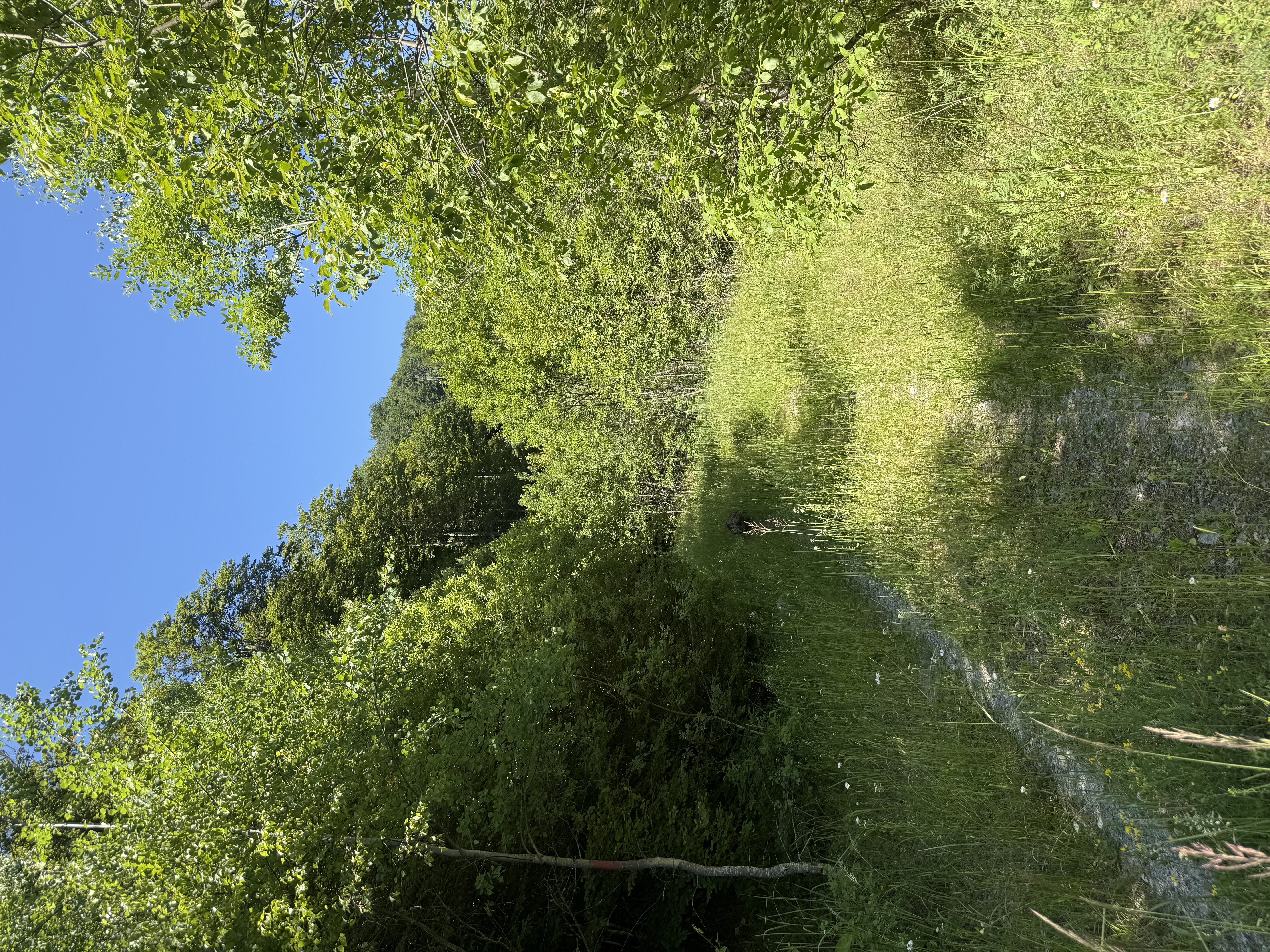Karpatské údolí Černá Sat